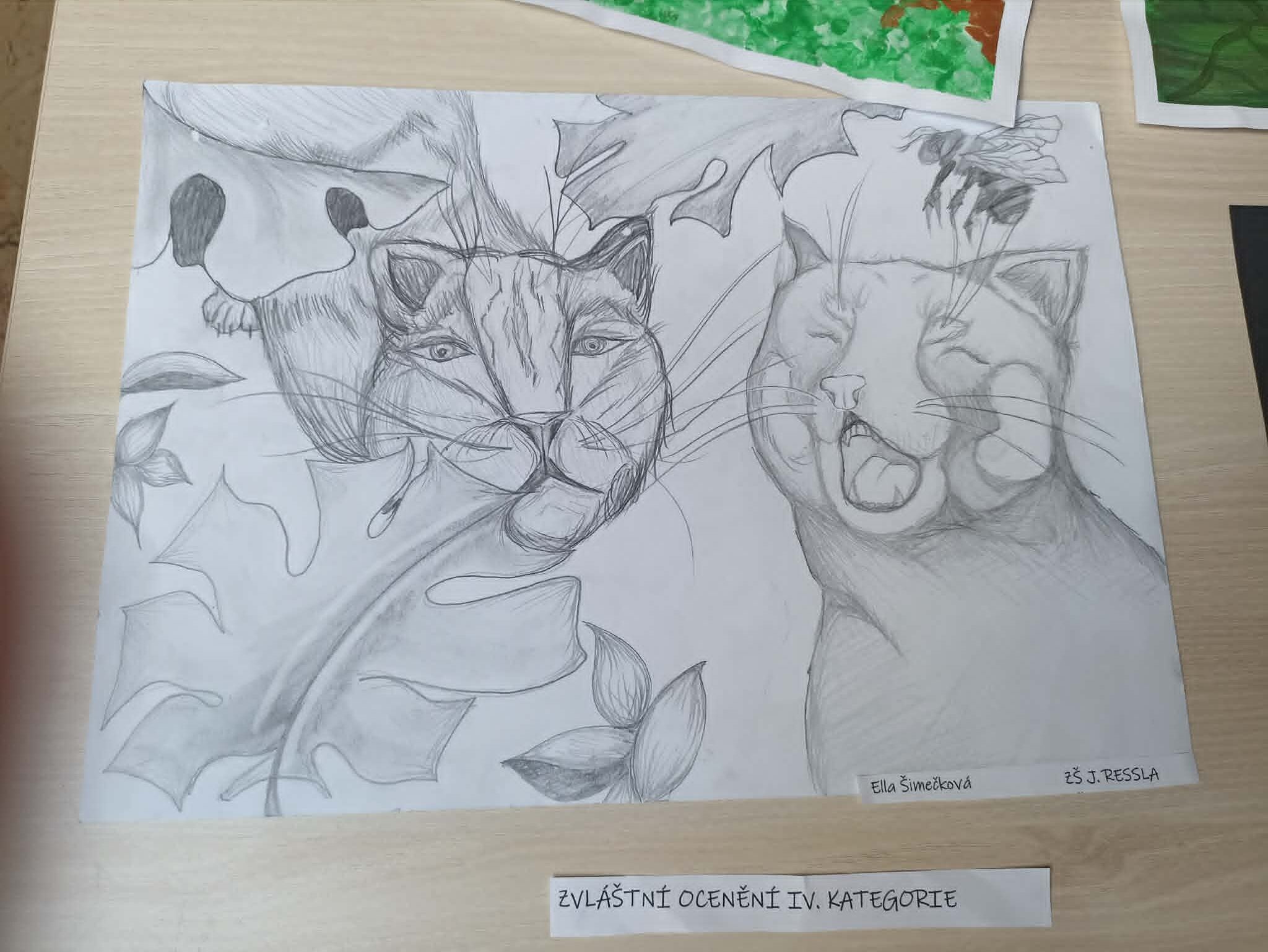 Výtvarná soutěž Džungle 1