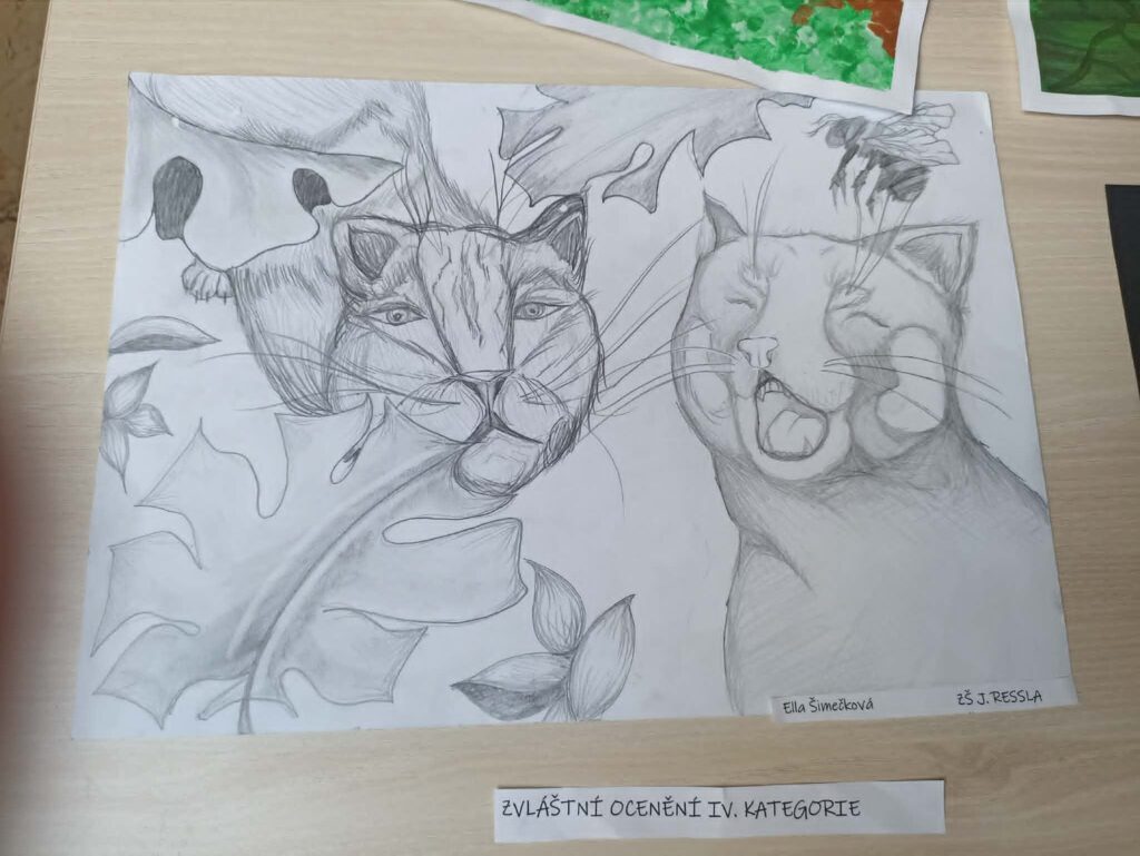 Výtvarná soutěž Džungle 1